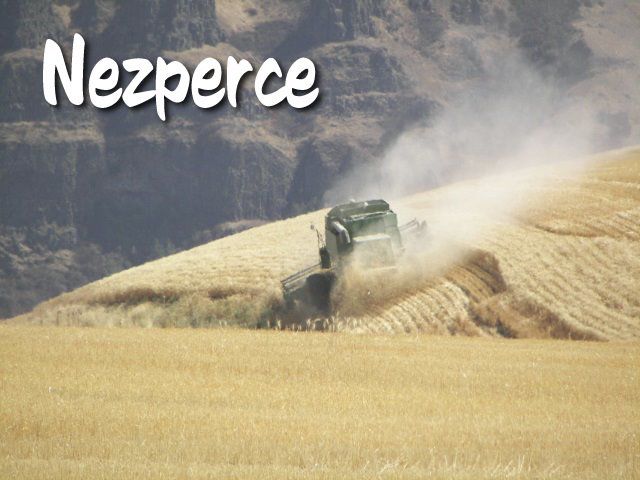 Nezperce News